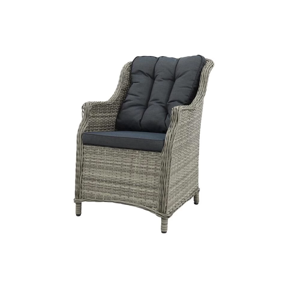 VDG King Dining Tuinstoel - Paloma Grijs 3 VDG King Dining Tuinstoel - Paloma Grijs