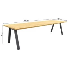 Taste Ambassador Tuintafel - 300x100 Cm -Beroemde Tuinmeubel Winkel 1000084624 0101